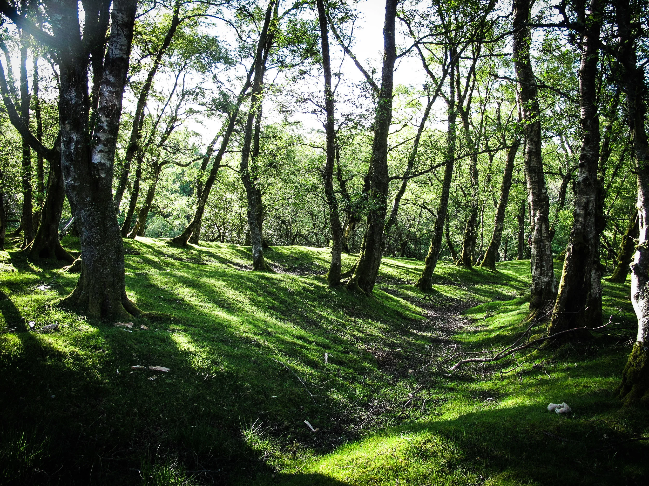 Wales_Low Res-68.jpg