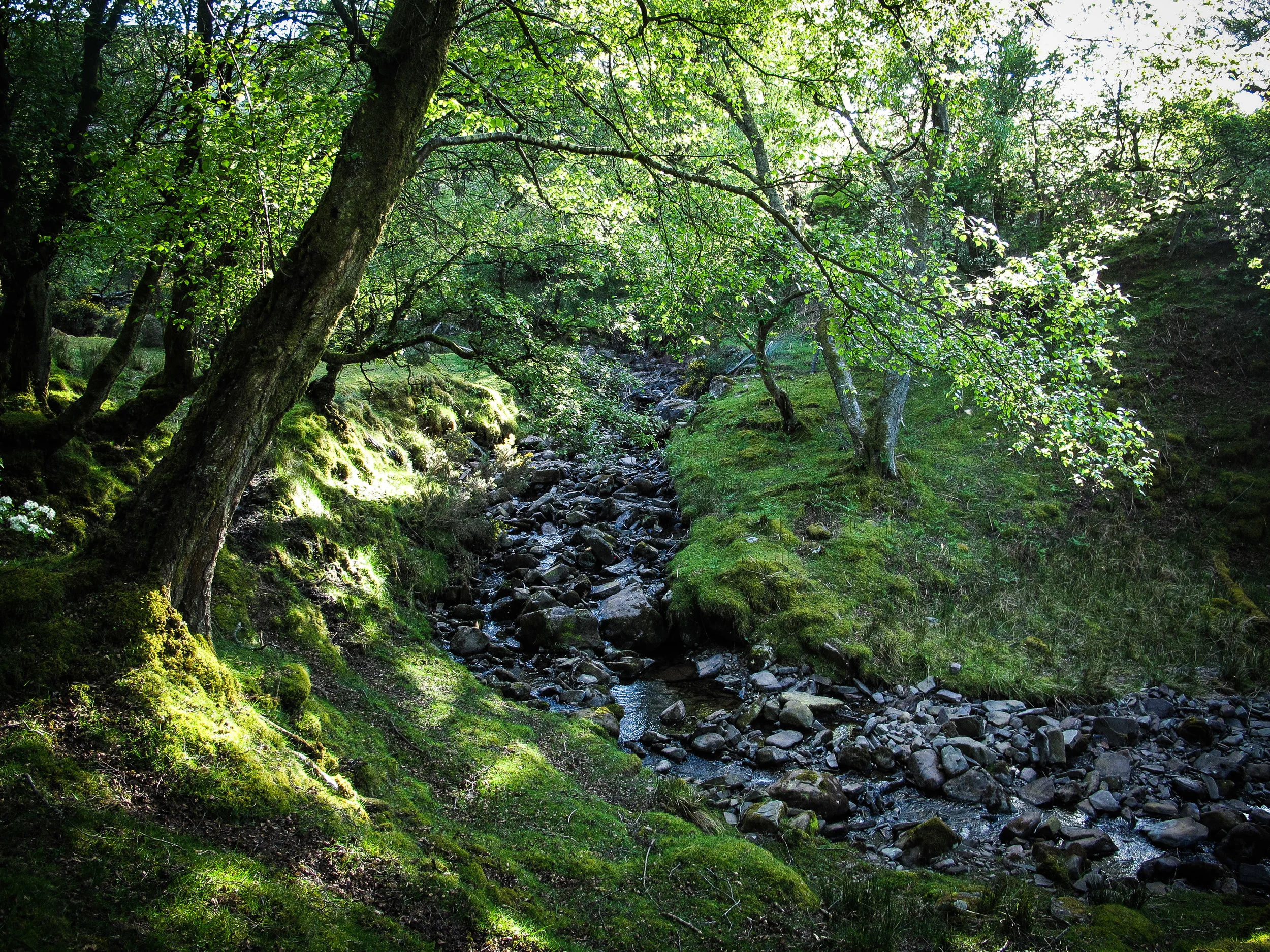 Wales_Low Res-70.jpg