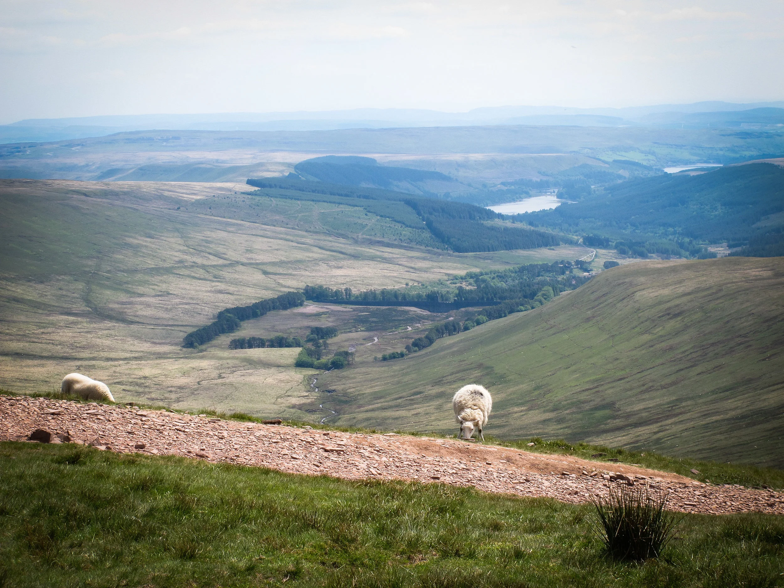 Wales_Low Res-105.jpg