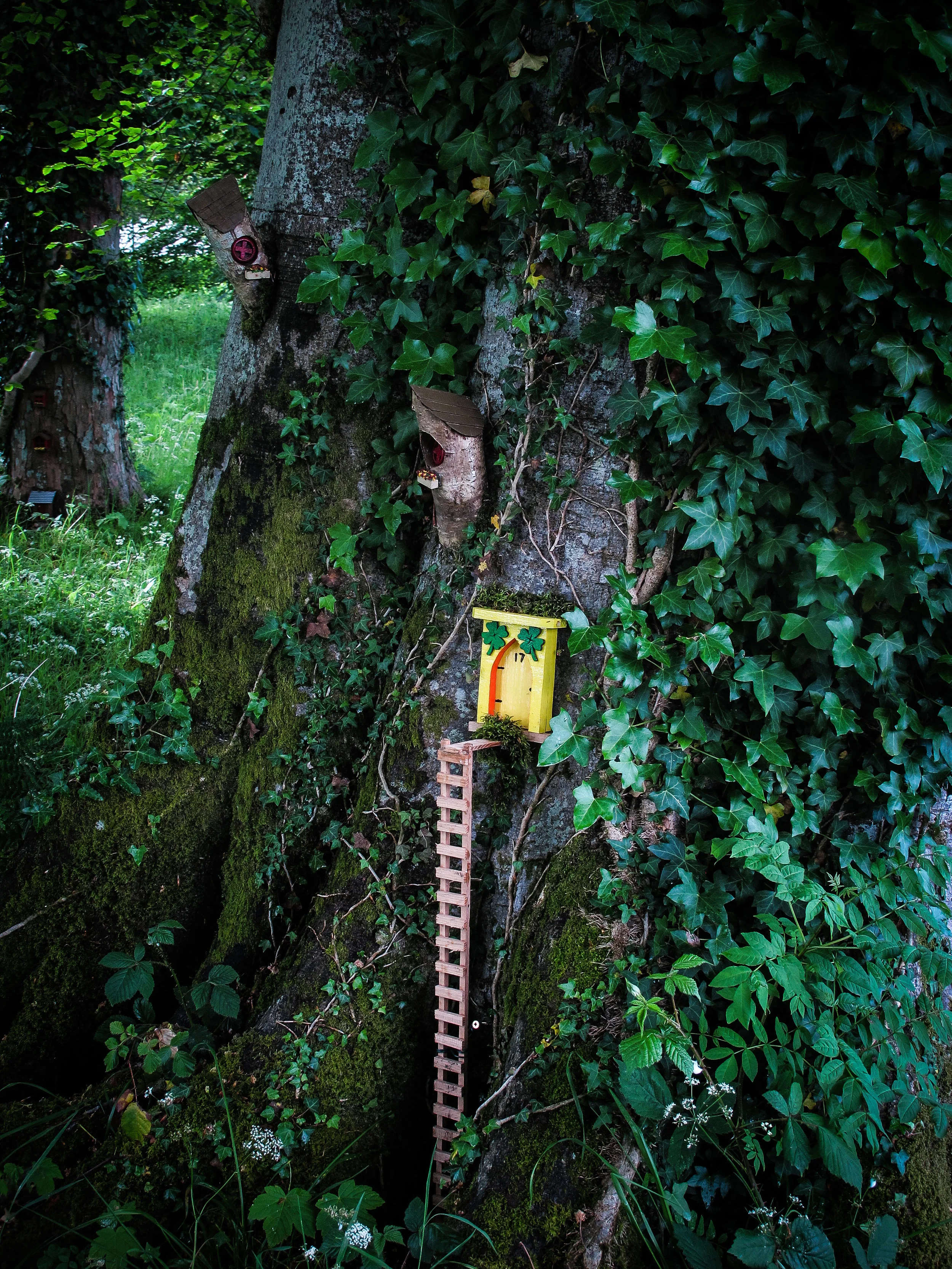 Wales_Low Res-246.jpg
