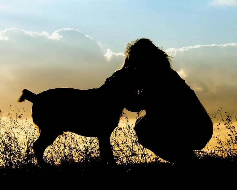 The Impact of COVID-19 on Our Lives and How We're Handling It