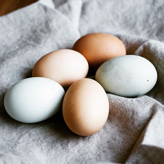 Good fats are important to developing brains and aging minds but what if you have a food sensitivity? Nutritional Response Testing can identify the right supplements, paired with acupuncture and diet changes to pave the path toward healing. #wholefood #foodheals #foodbasedsupplements #herbalsupplements #standardprocess #naturalhealing #holisticlifestyle #holisticmedicine #holisticwellness #holisticliving #holistichealth #allergies #autoimmune #nutritionresponsetesting