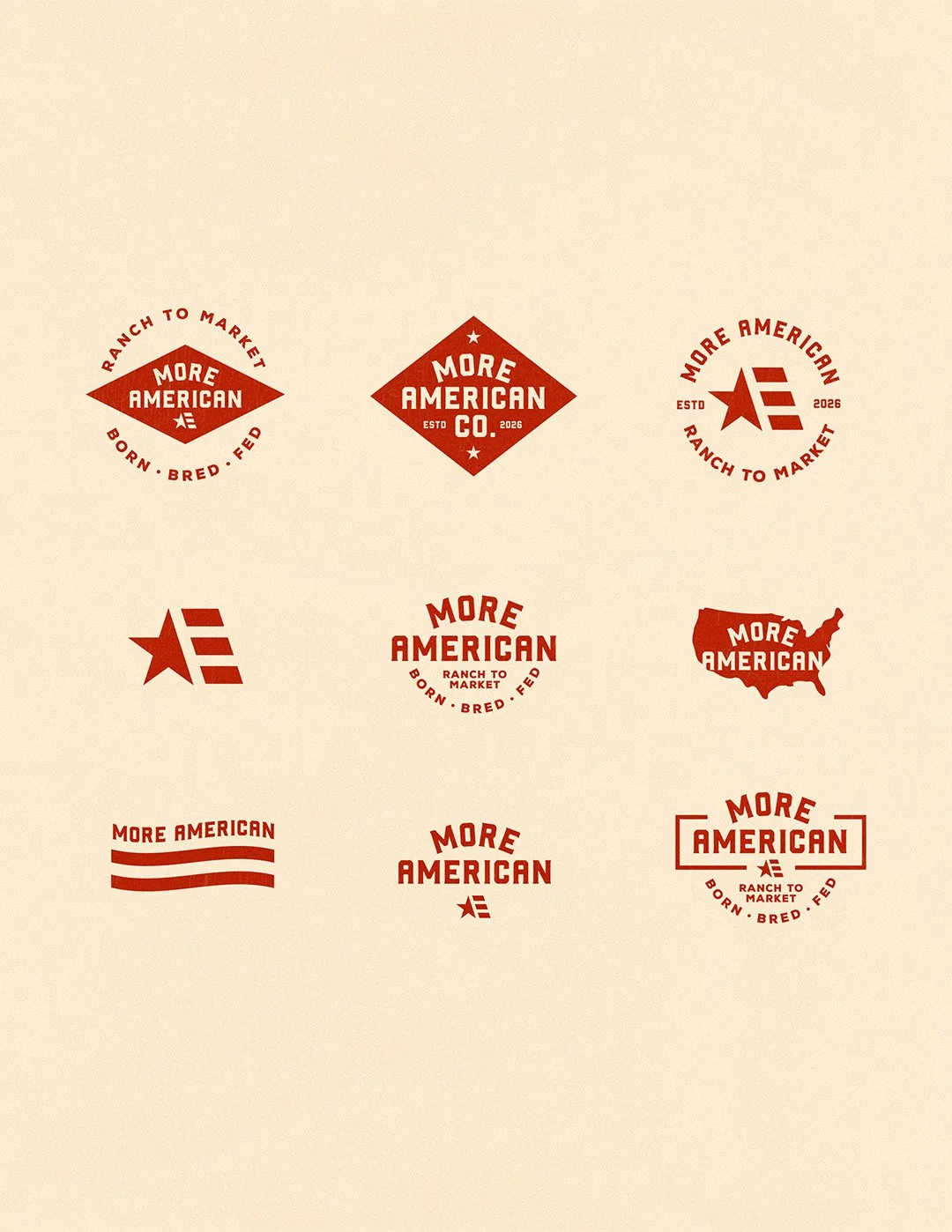 More American Logos V1.jpg