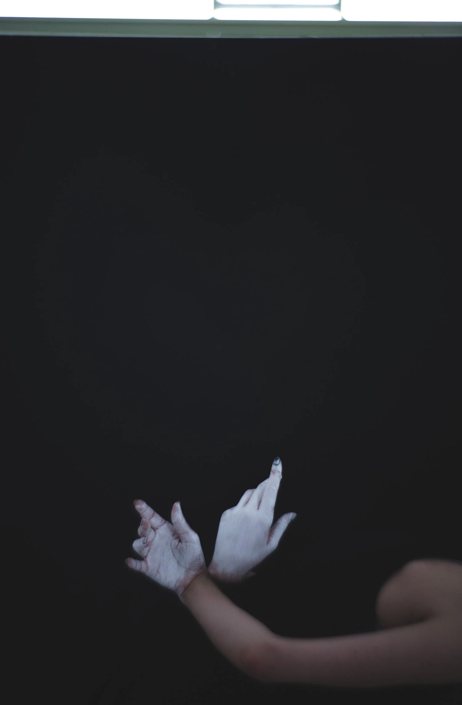 FQ9A8984.jpg