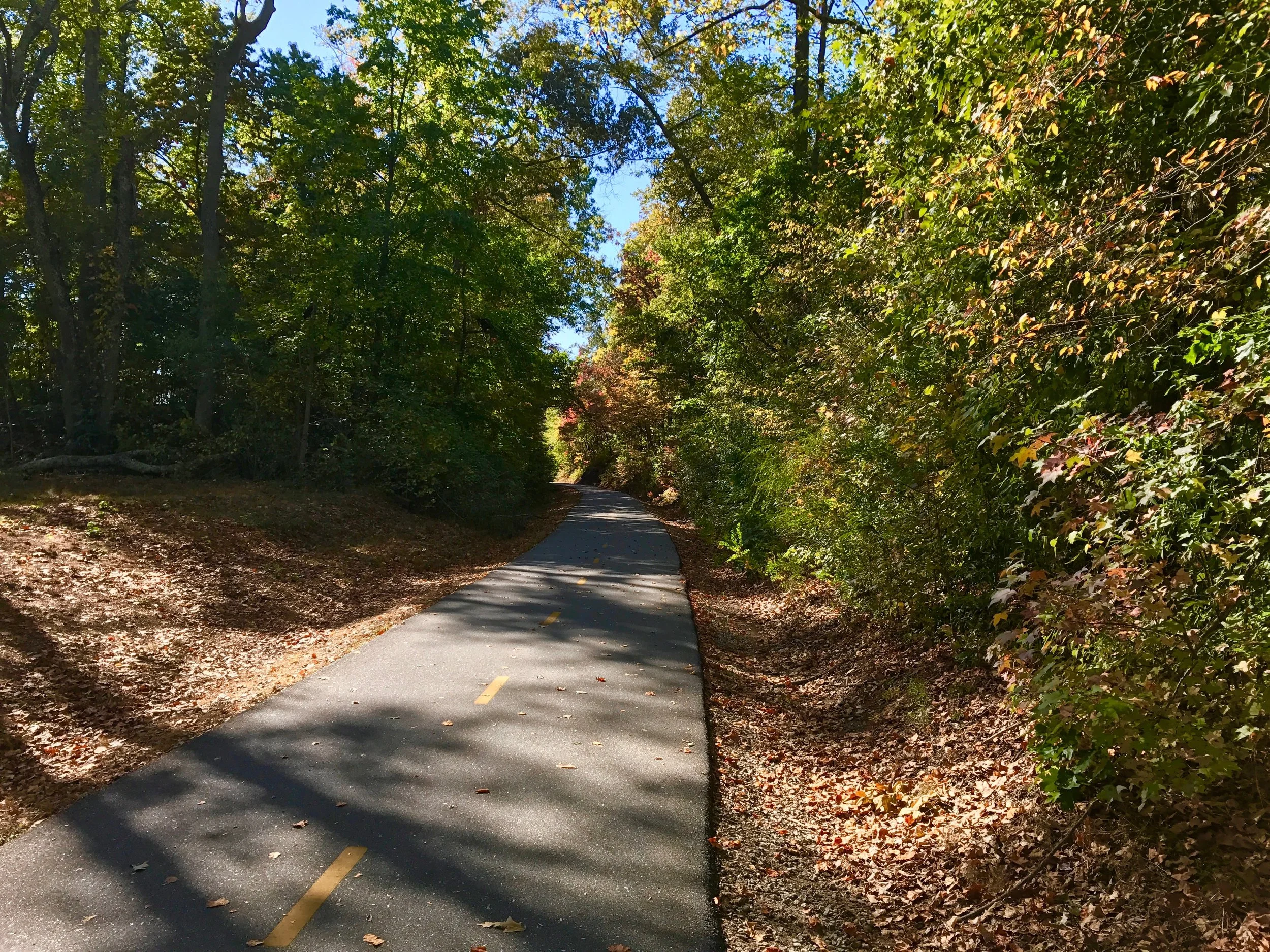 Eureka! on the Swamp Rabbit Trail