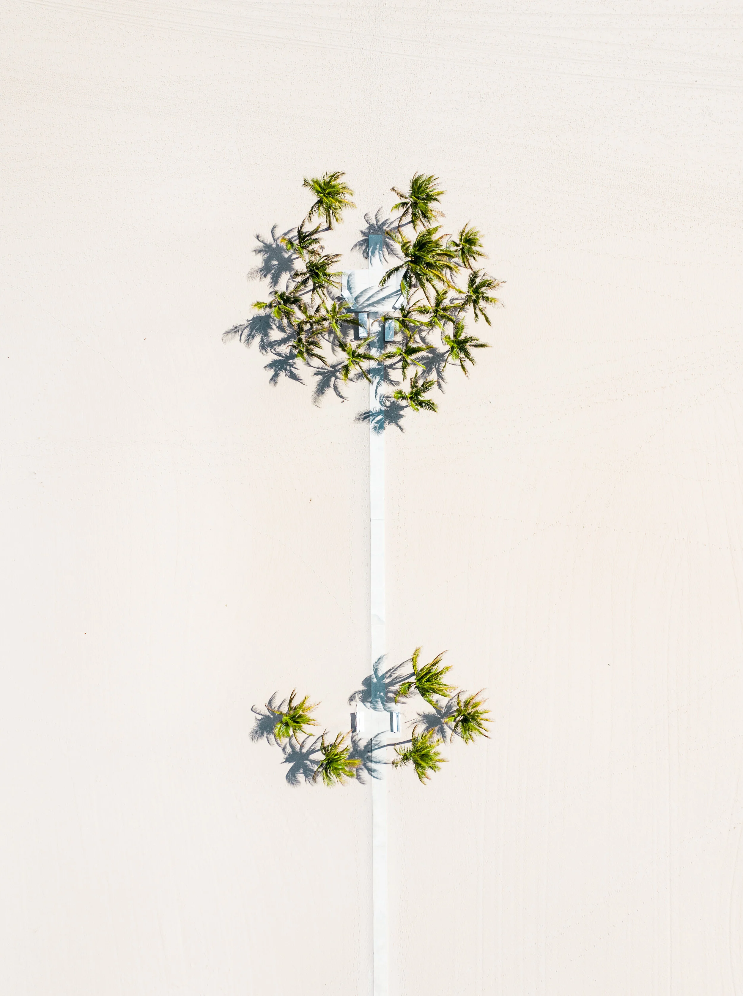DJI_0831.jpg