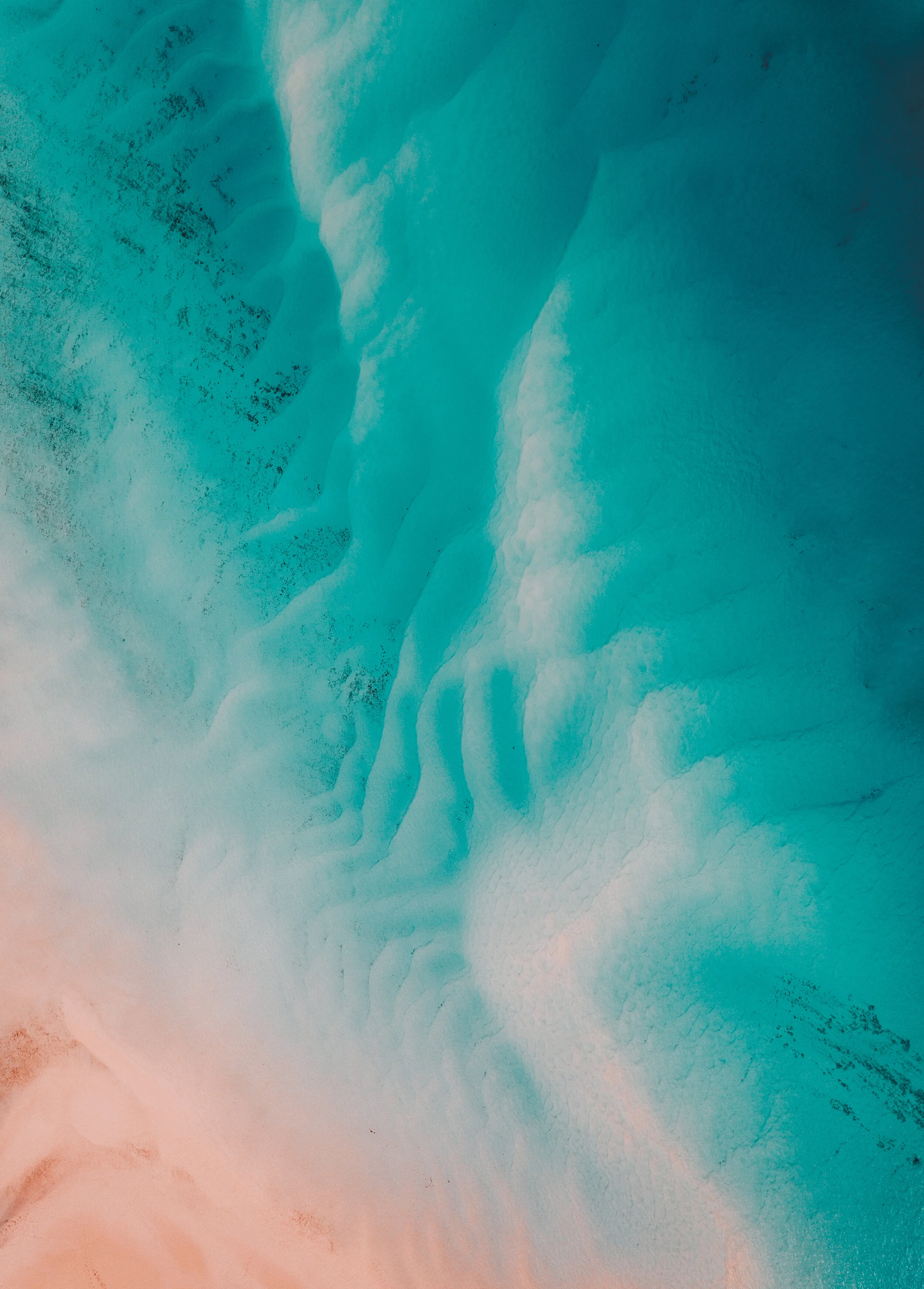 DJI_0303.jpg