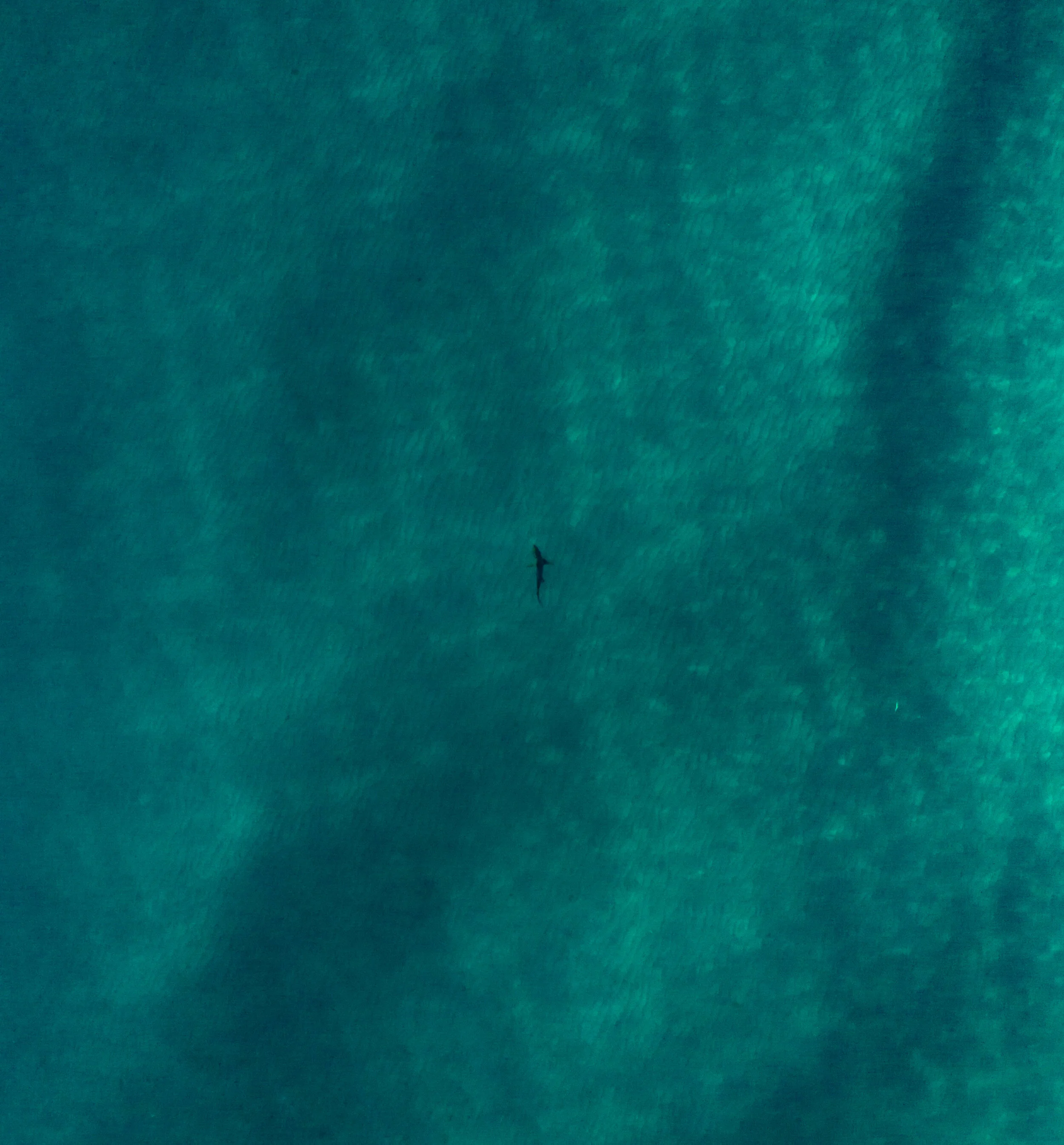DJI_0168.jpg