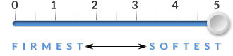 Firmness-5.png