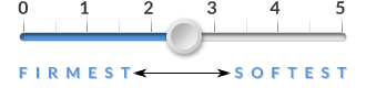Firmness-2.5.png