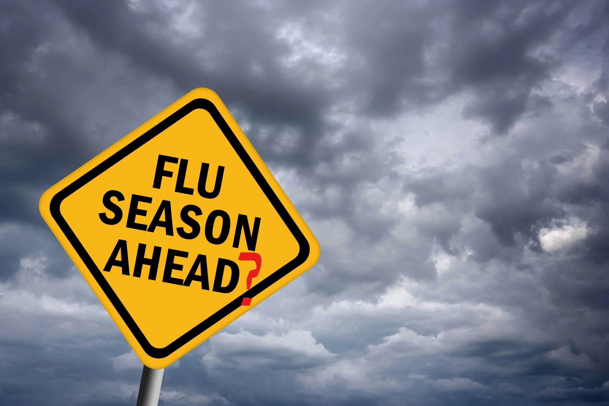 InkedFlu season ahead_LI.jpg