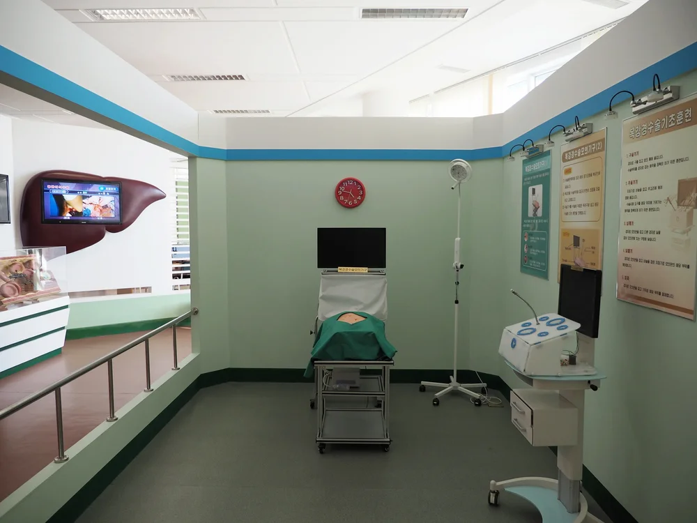  Patient simulation demo. There's an electronic stomach with buttons to practice resuscitation. 