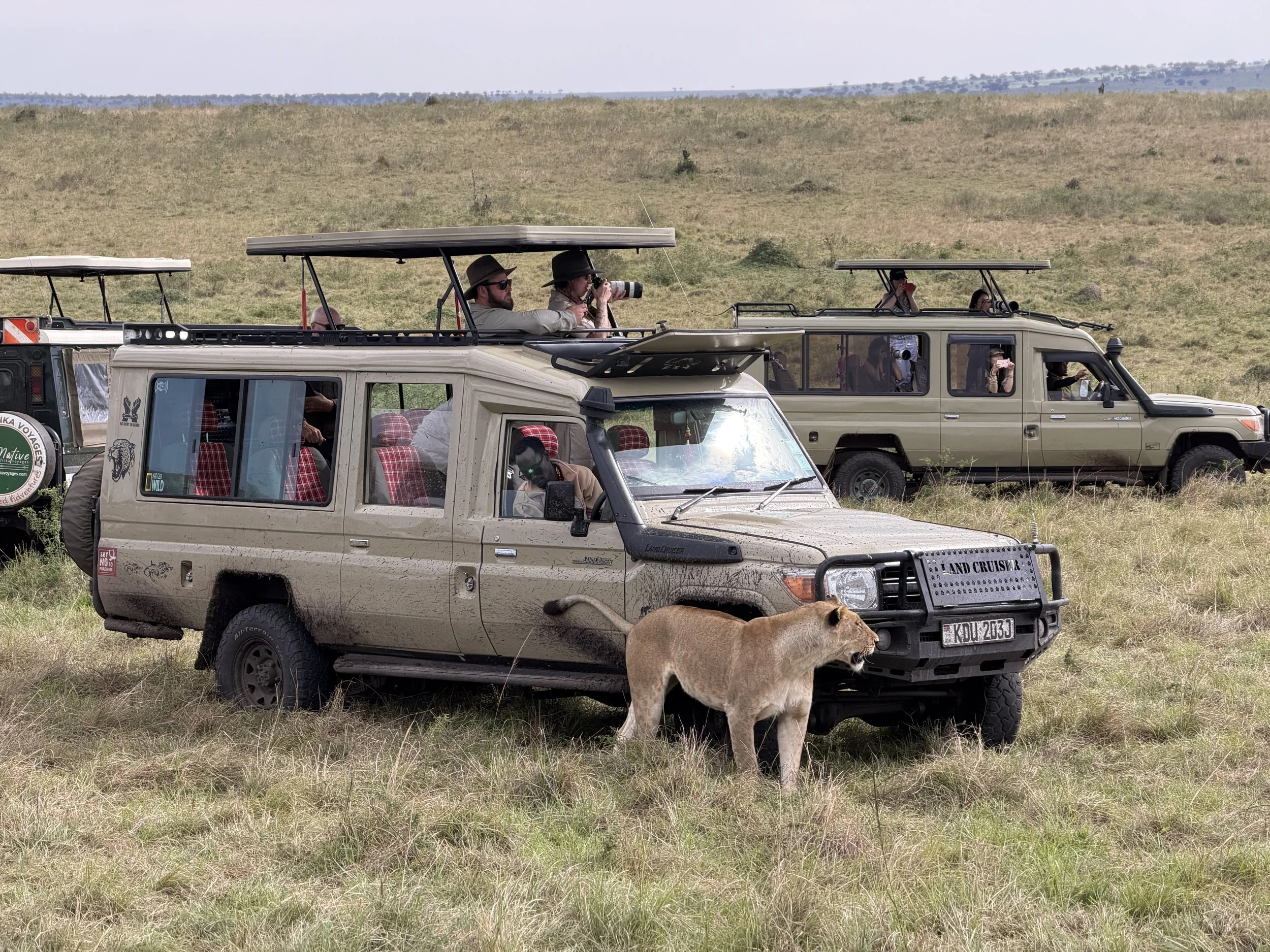 Intrepid East Africa Highlights: Days 1-3 Masai Mara, Kenya