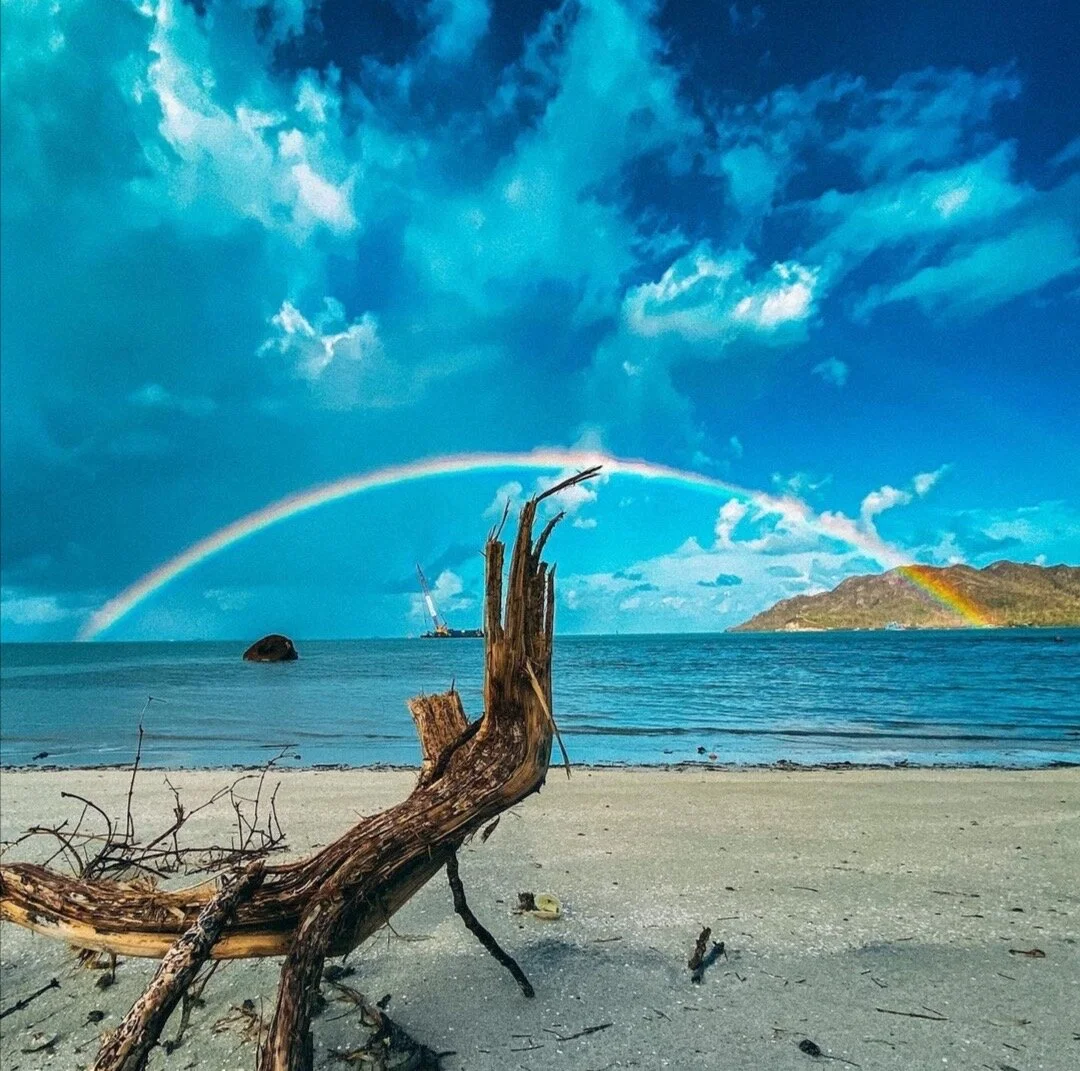 An account of the activities implemented by Stand Up Providencia Renace in 2020 