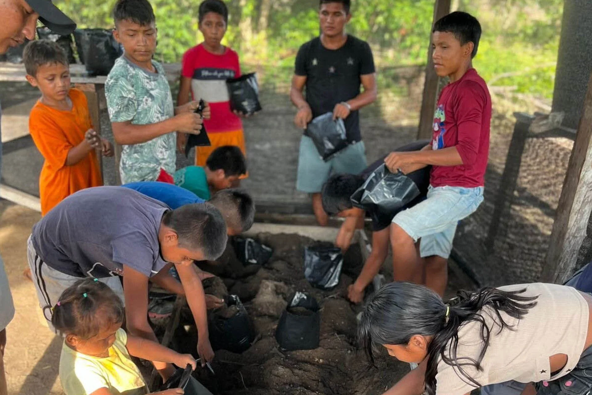 2Vivero2-copia-5b0dd5e9cd02c2e19fe6cd96fe785378 copia.jpg