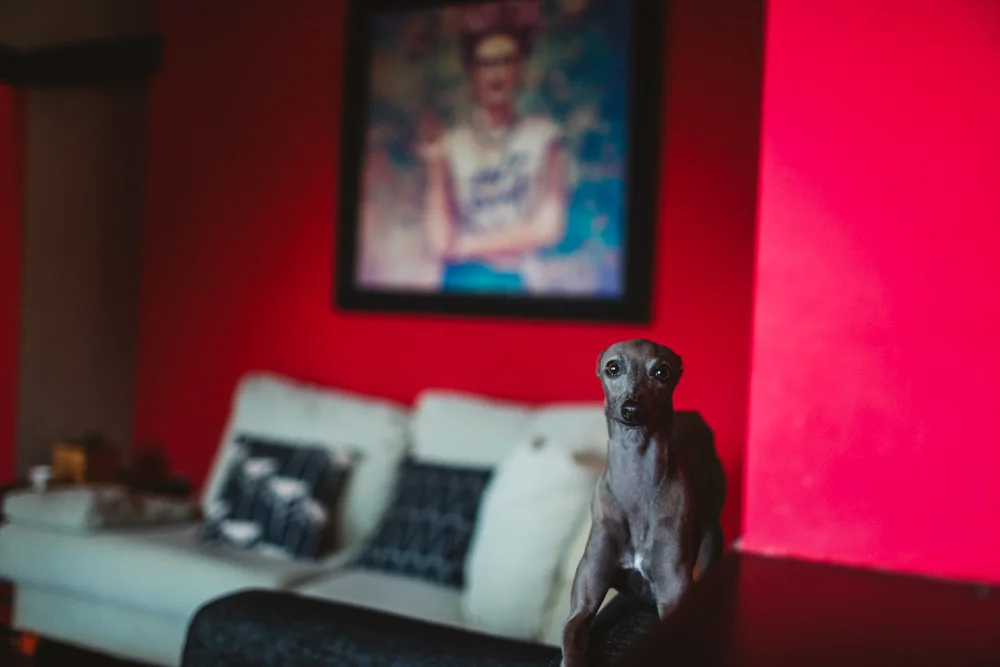08062127.jpg