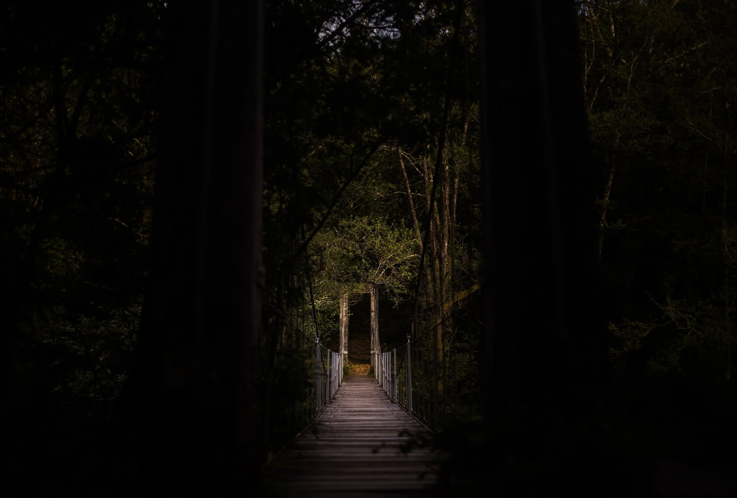 The Path