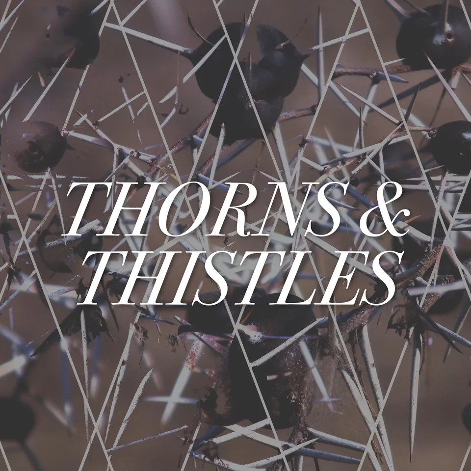 Thorns and Thistles