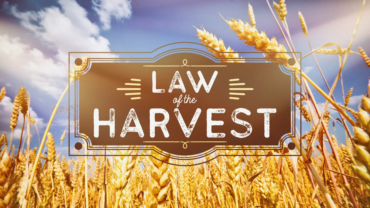 Law of the Harvest