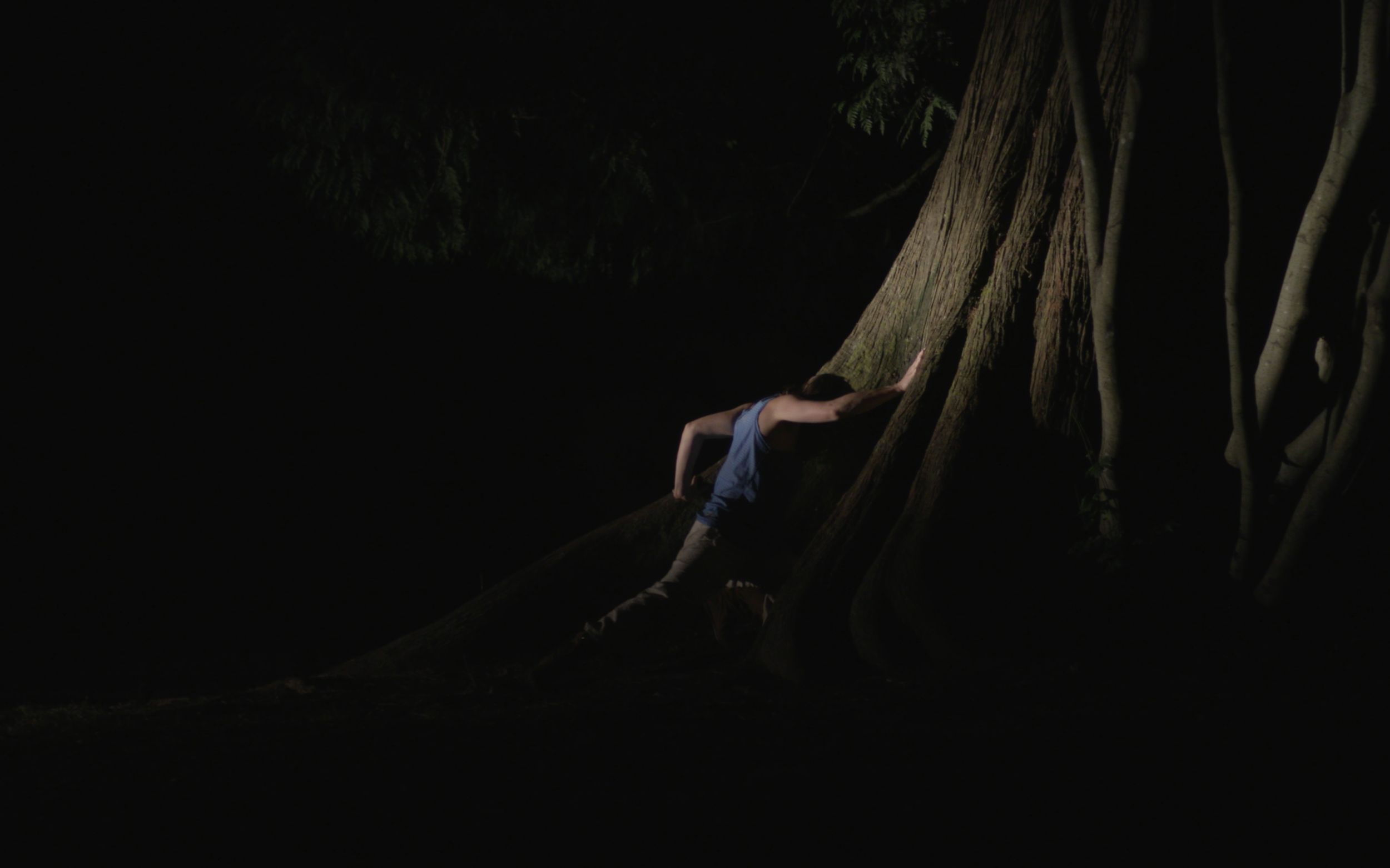 *** BecauseWeAreUsedToLiving *** Created and performed by Olivia Shaffer, concept by Dave Biddle, cinematography by David Ehrenreich near The Hollow Tree at Stanley Park September 2017