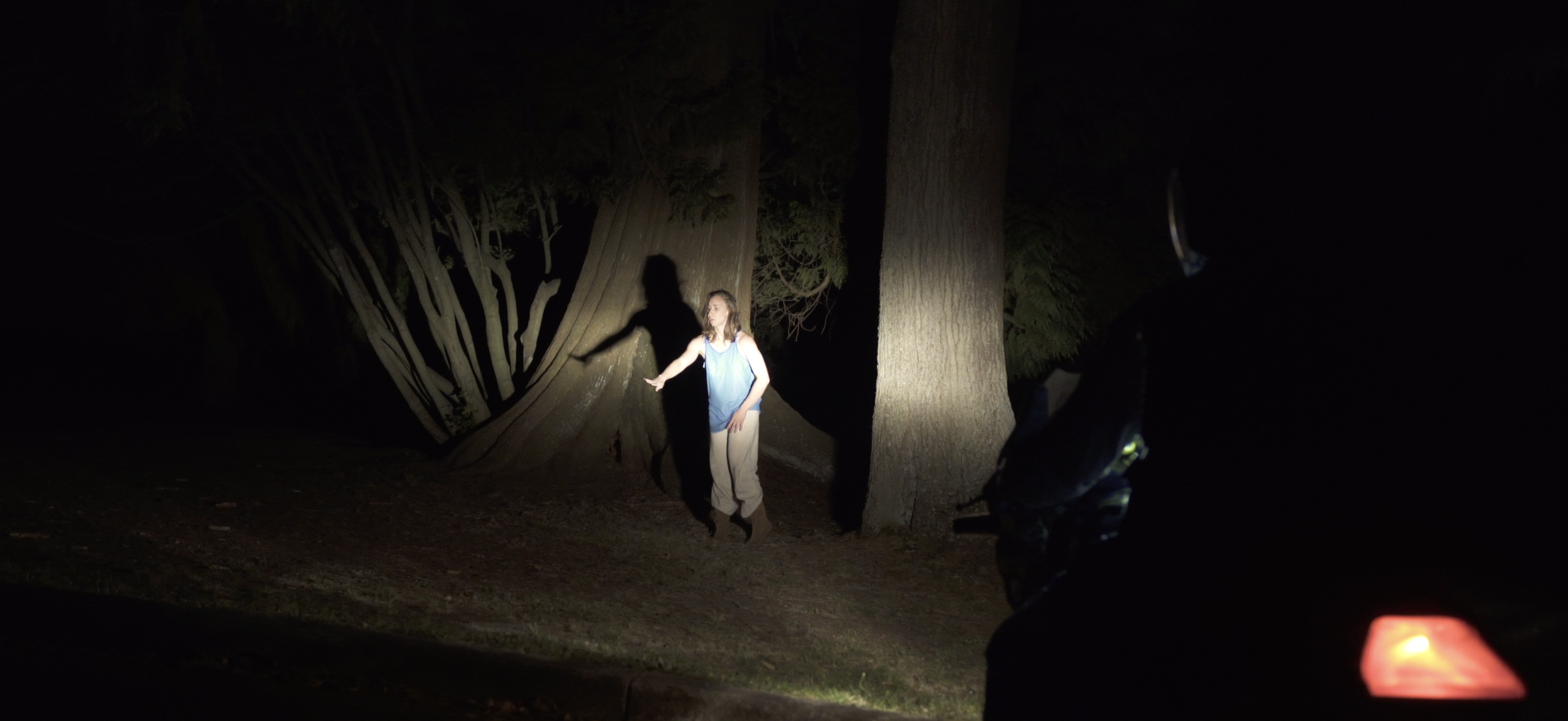 *** BecauseWeAreUsedToLiving *** Created and performed by Olivia Shaffer, concept by Dave Biddle, cinematography by David Ehrenreich near The Hollow Tree at Stanley Park September 2017