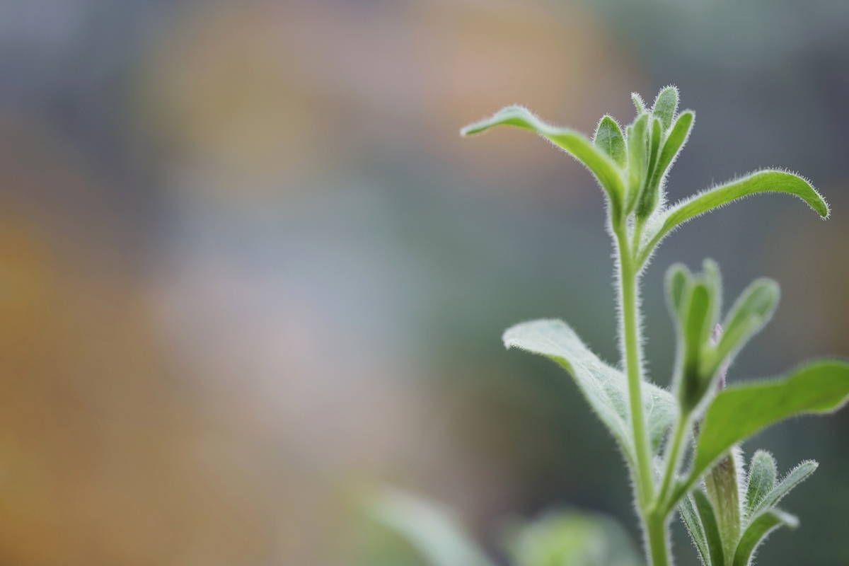 lightstock_229961_small_user_7547407.jpg