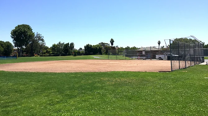 SinglesFieldDay.jpeg