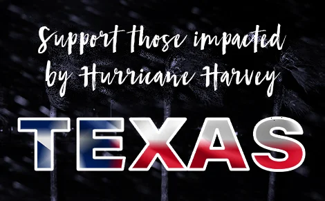 Hurricane_Harvey_Email.jpg