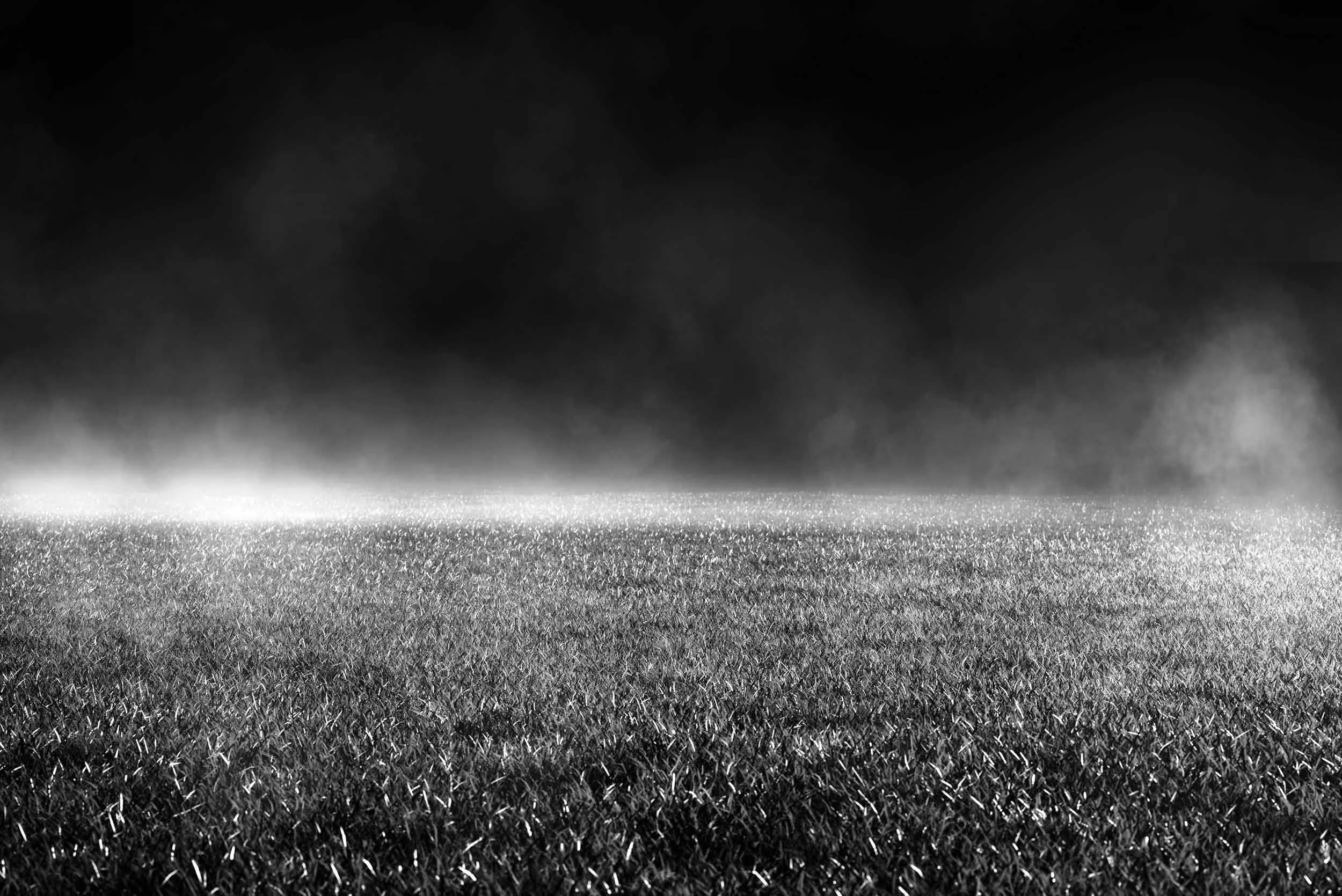 Field.jpg