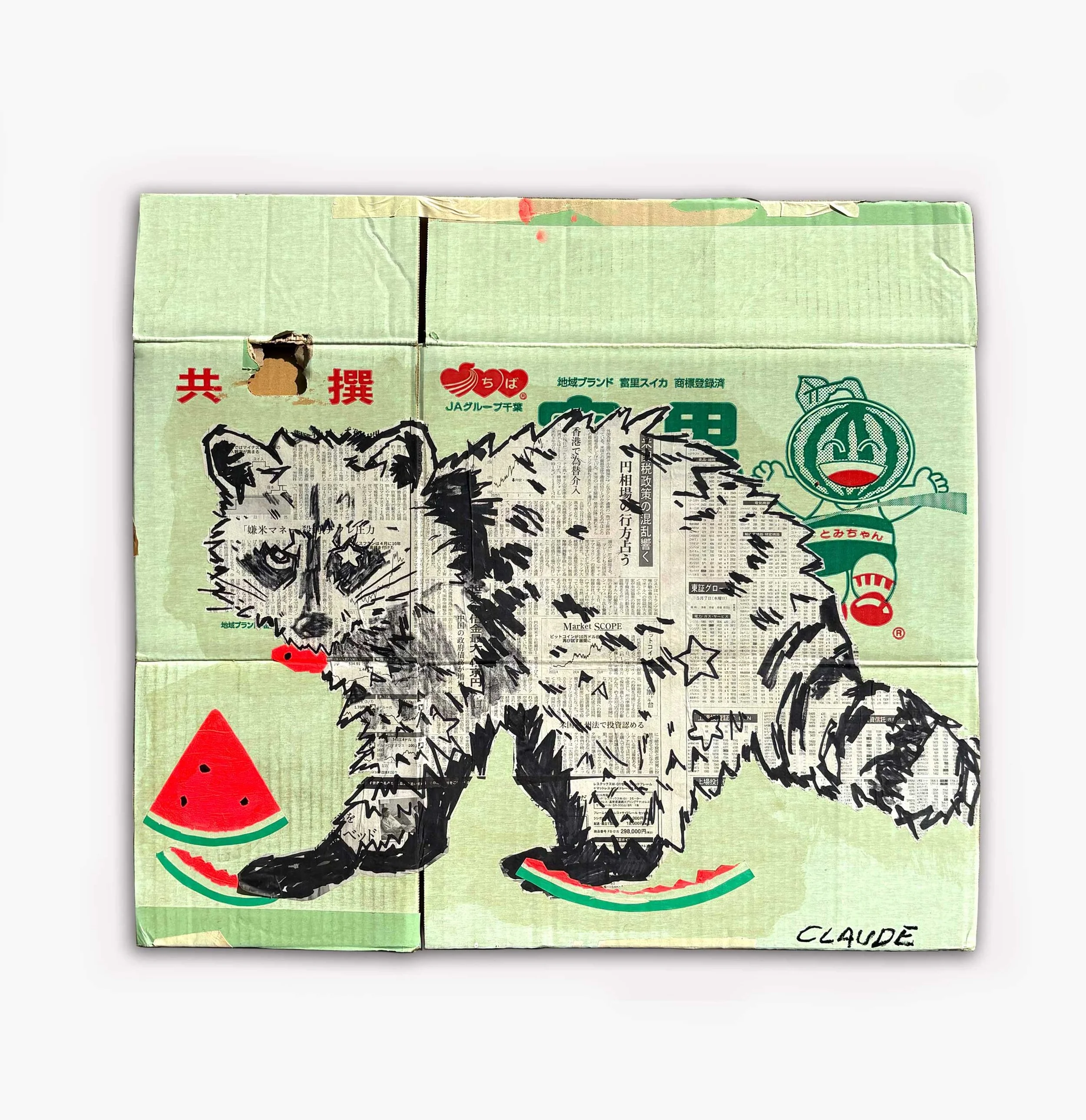 Raccoon With Watermelon