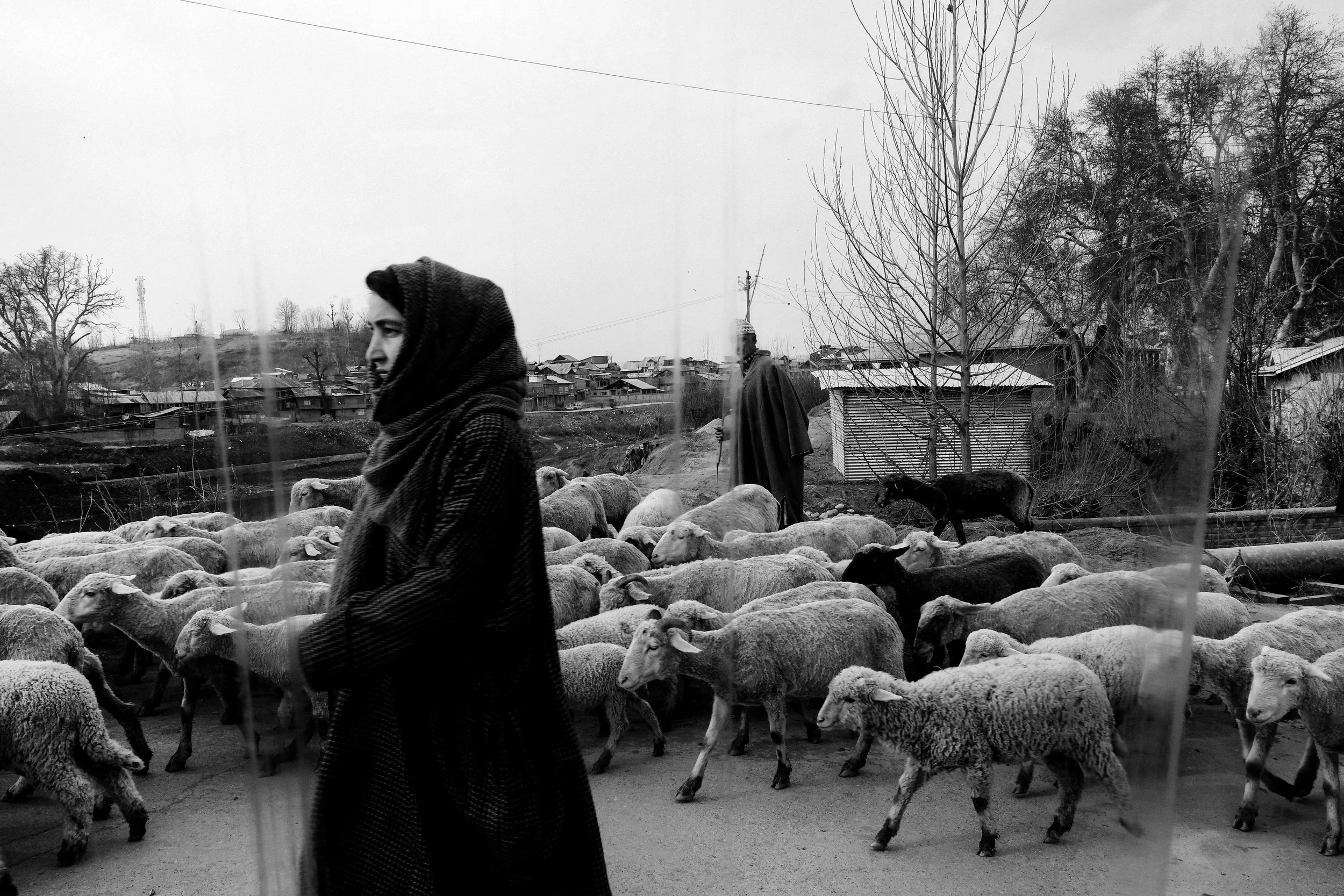 DSCF4308-1299 copy copy.jpg