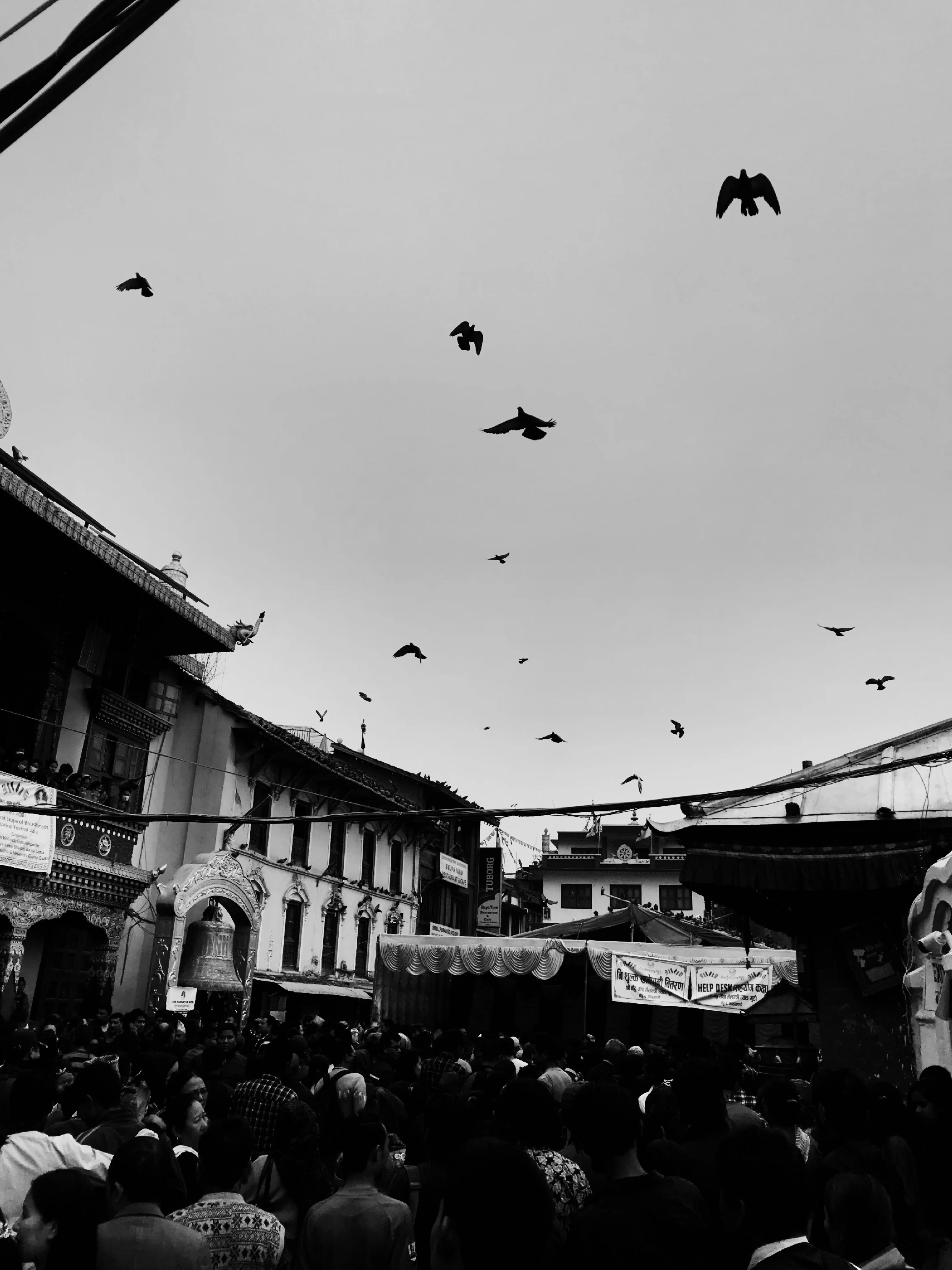IMG_7909-28.jpg
