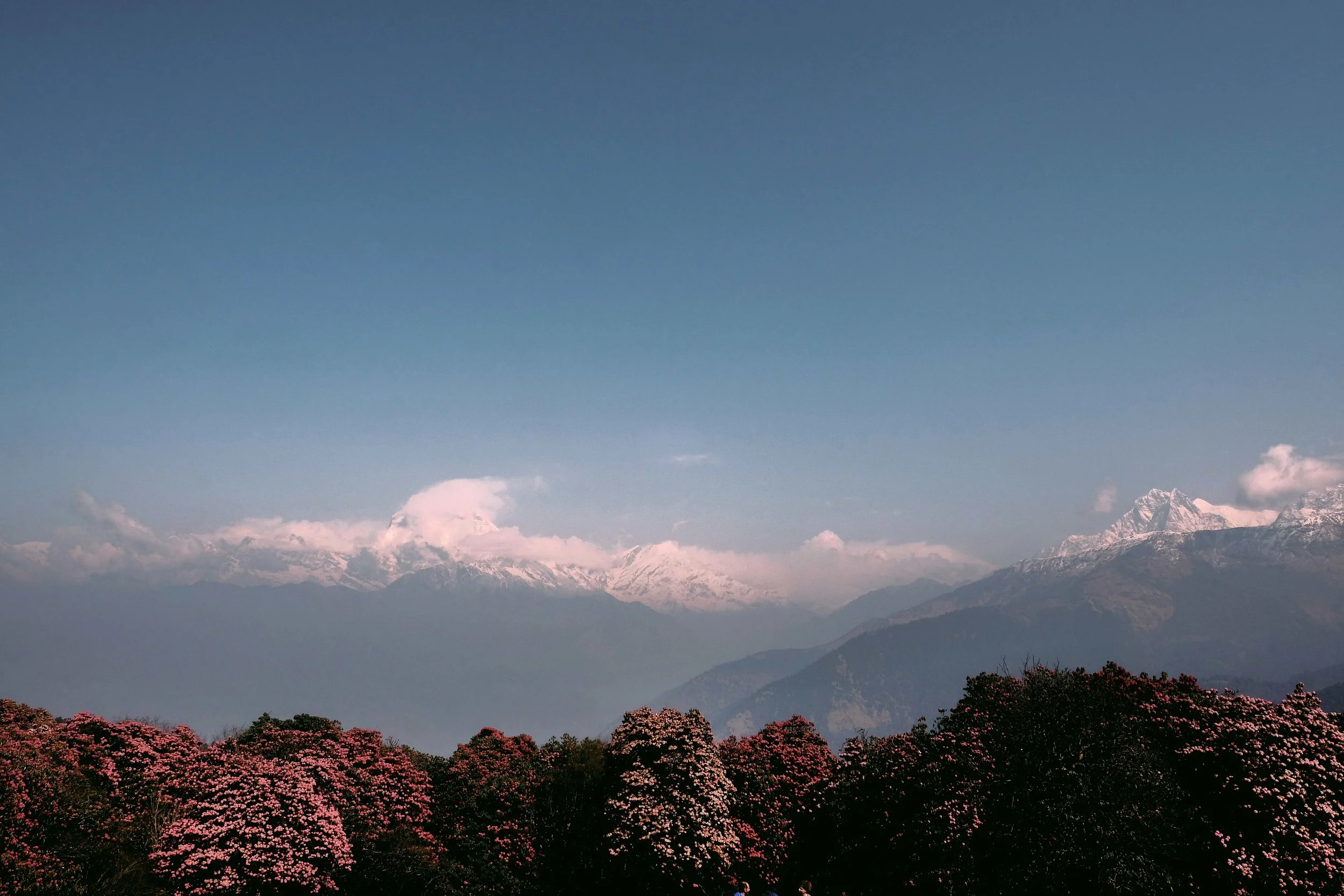 DSCF8352-2916-52.jpg
