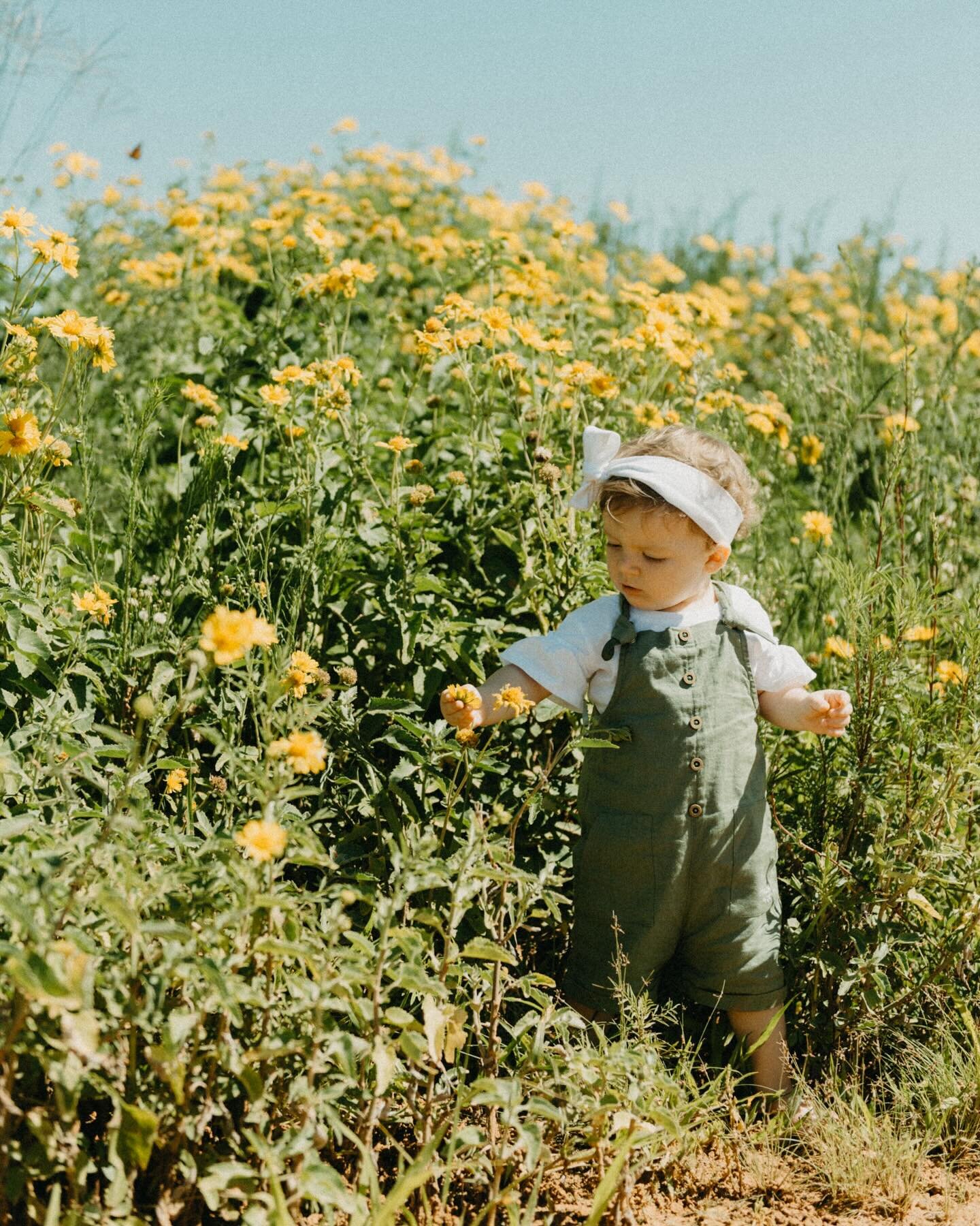 Always stop and smell the flowers first.
💛💛💛
Photo credit: @ezilebez