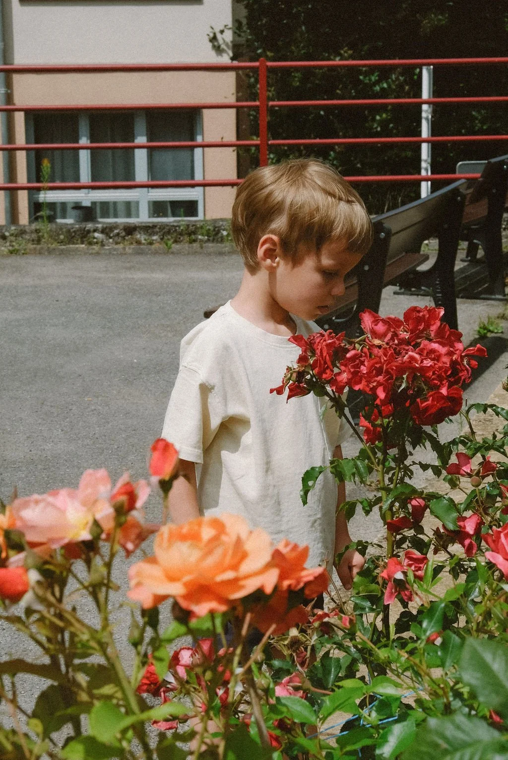 LiezlFamily-Lux-167.jpg