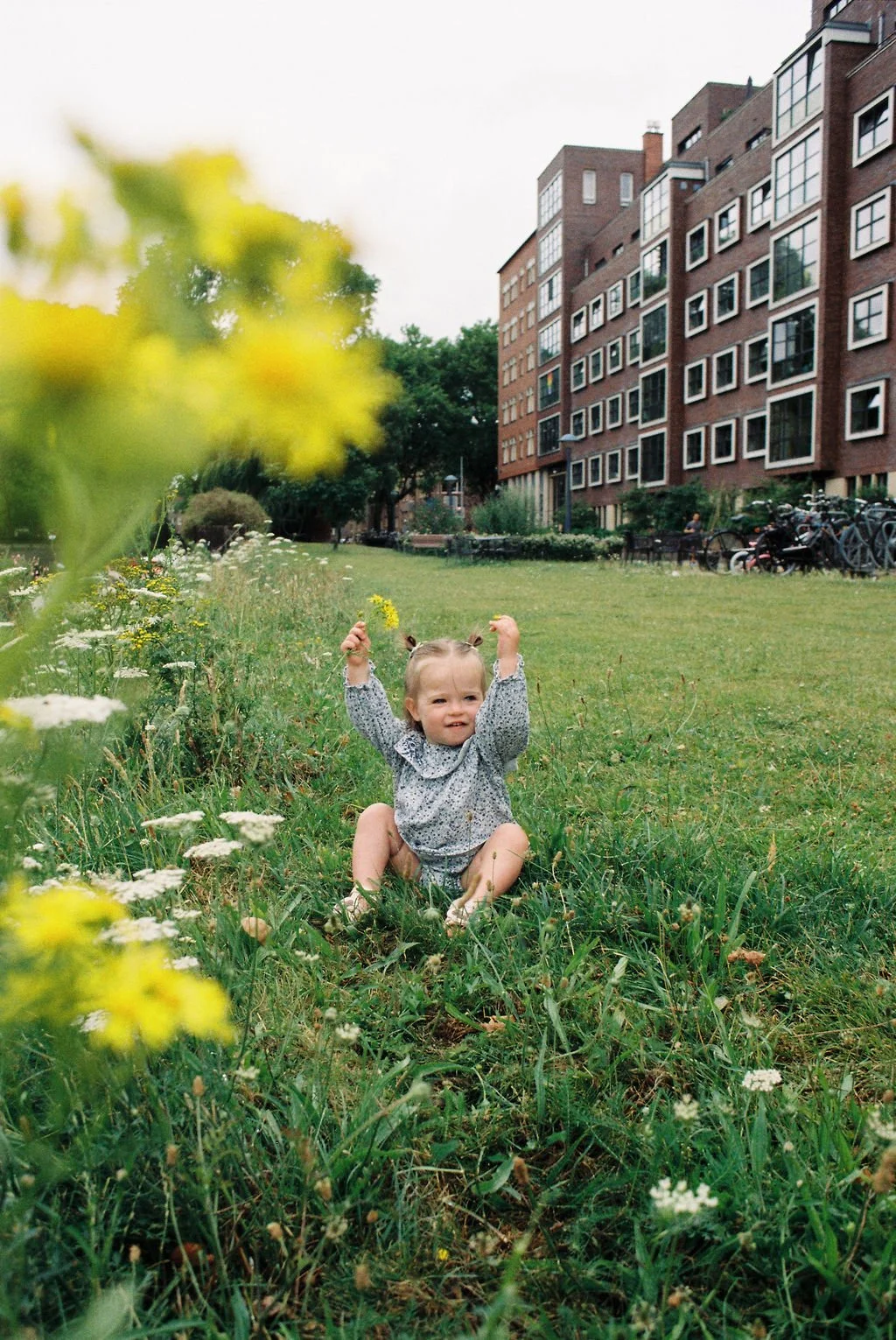 Film-17.jpg