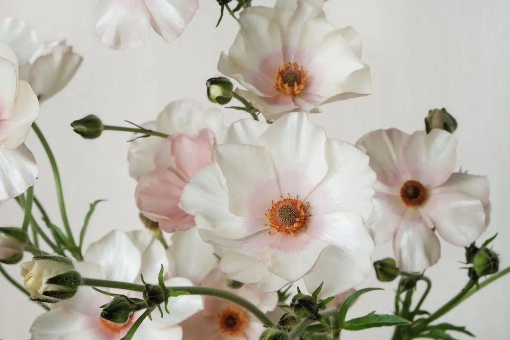 LisaGarden-94.jpg