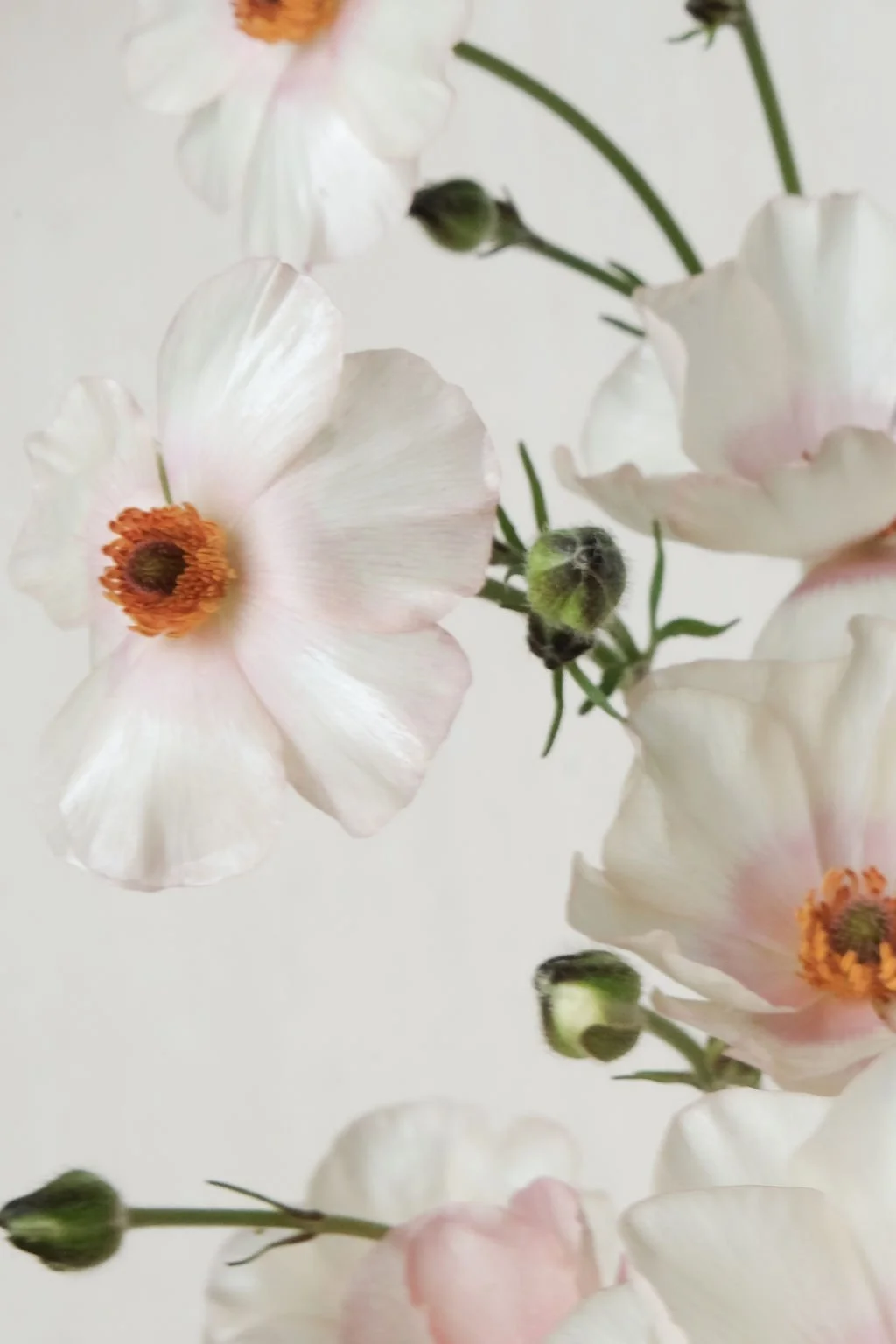 LisaGarden-95.jpg