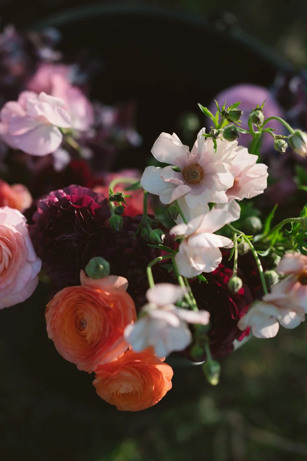 LisaGarden-88.jpg