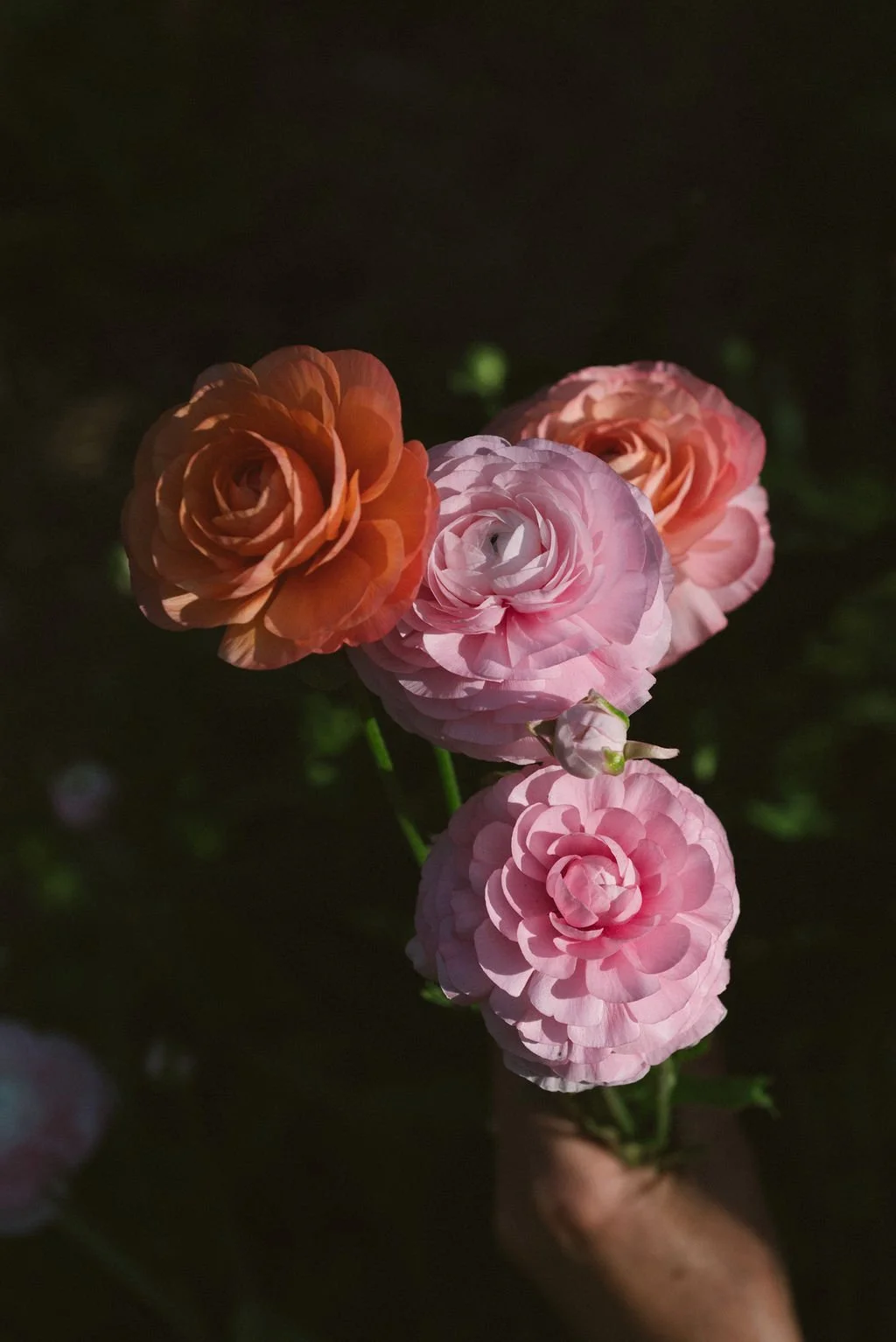 LisaGarden-53.jpg