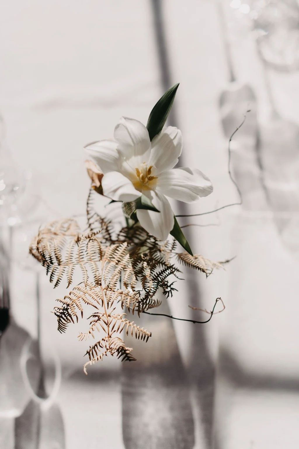 Decor-14.jpg