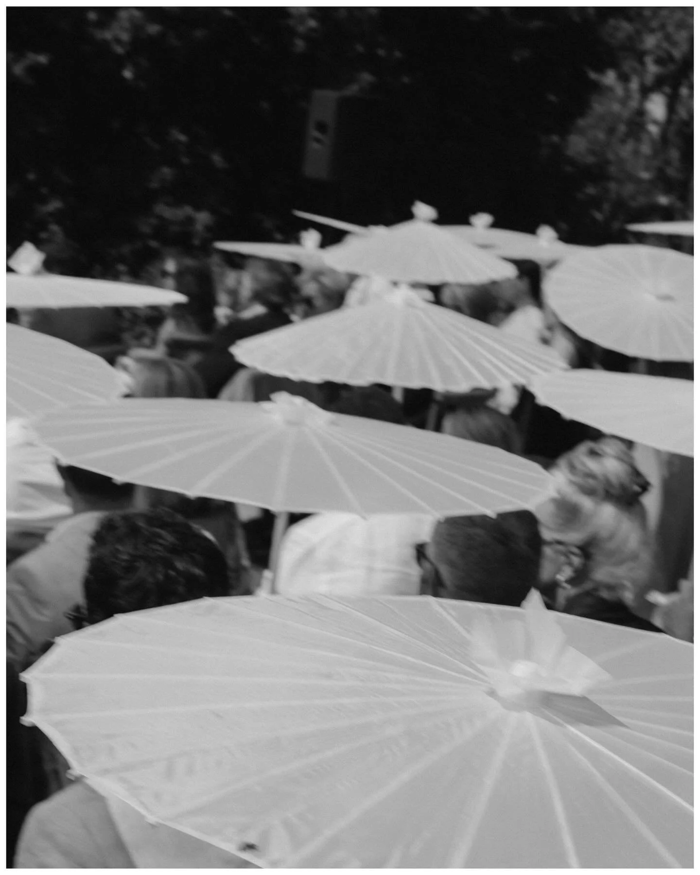 Their day felt like a vintage record 🎵
@biancavanvelze 
✨
Venue: @glenshielvenue 
Event planners, flowers &amp; catering: @bywordofmouthsa 
Photography: @barefootheart_ 
Second shooter: @diggiest 
Dress: @nuptbridal