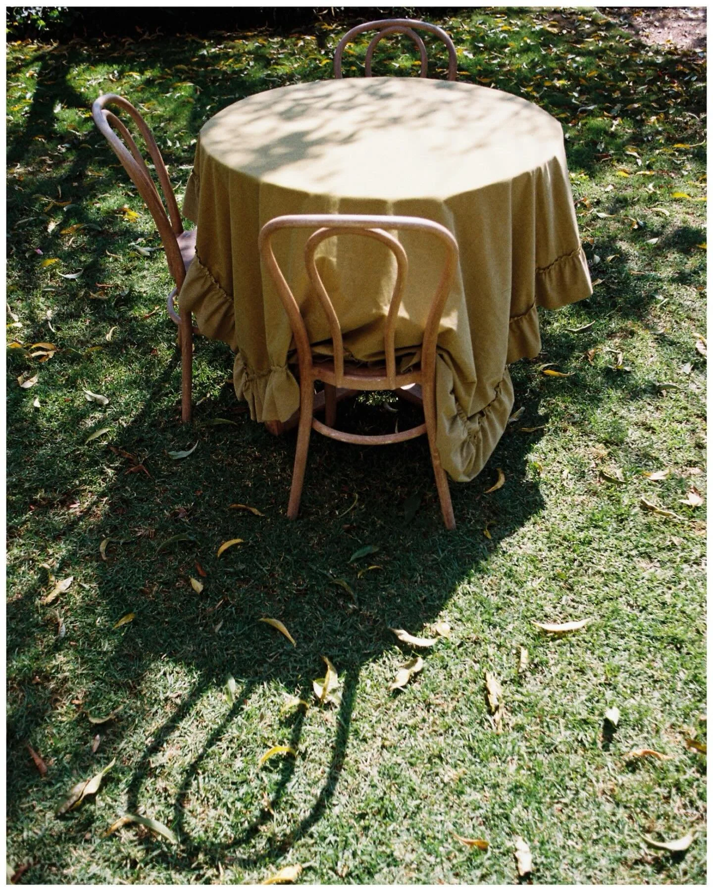 Some favourite detail shots on film 🤍
Shooting alongside the incredible @claudiatakesphotos_