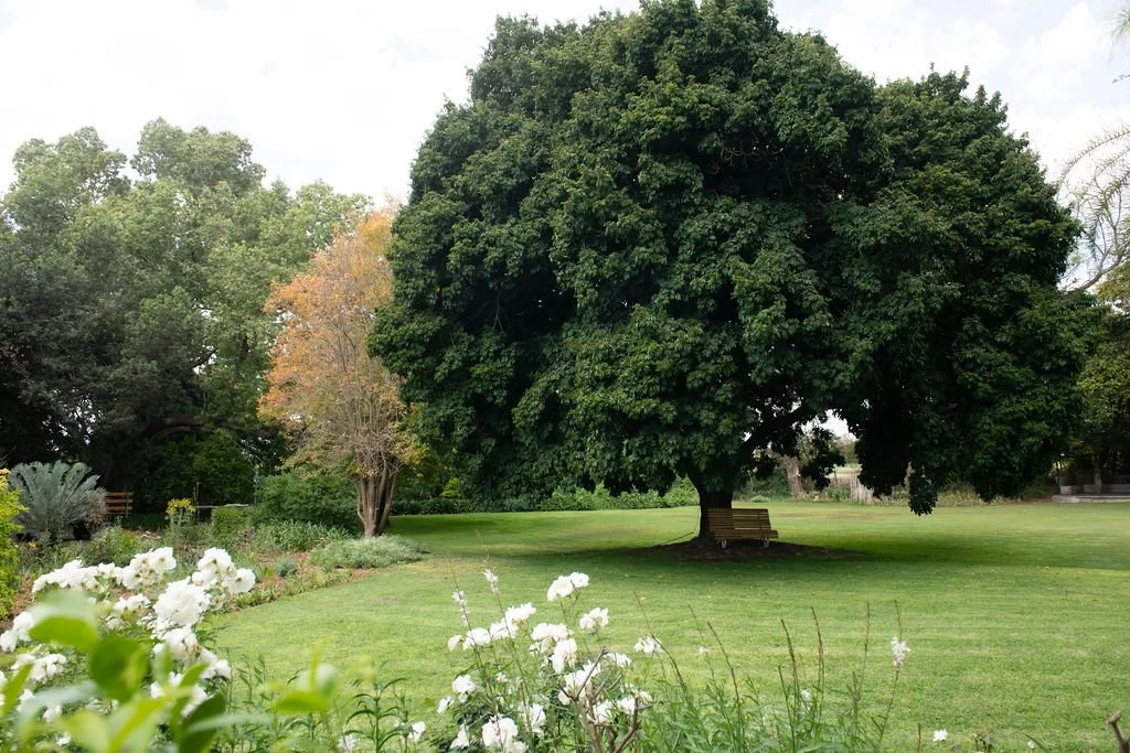 Venue&Surroundings-59.jpg