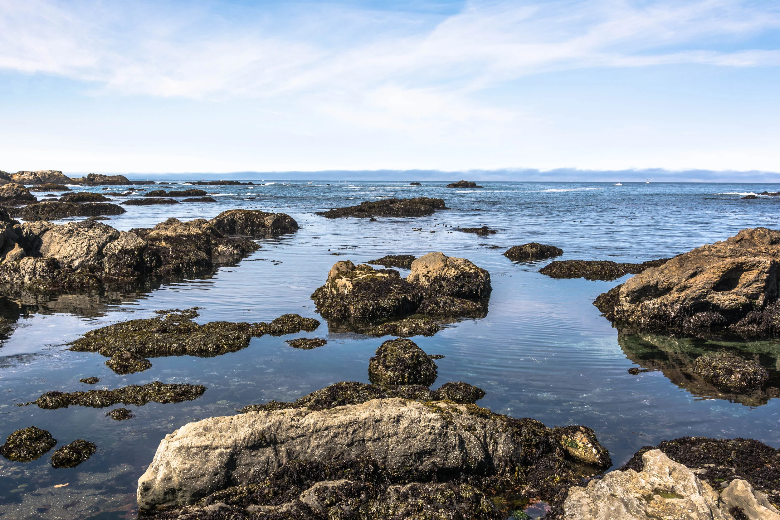 AdobeStock_80729560.jpeg
