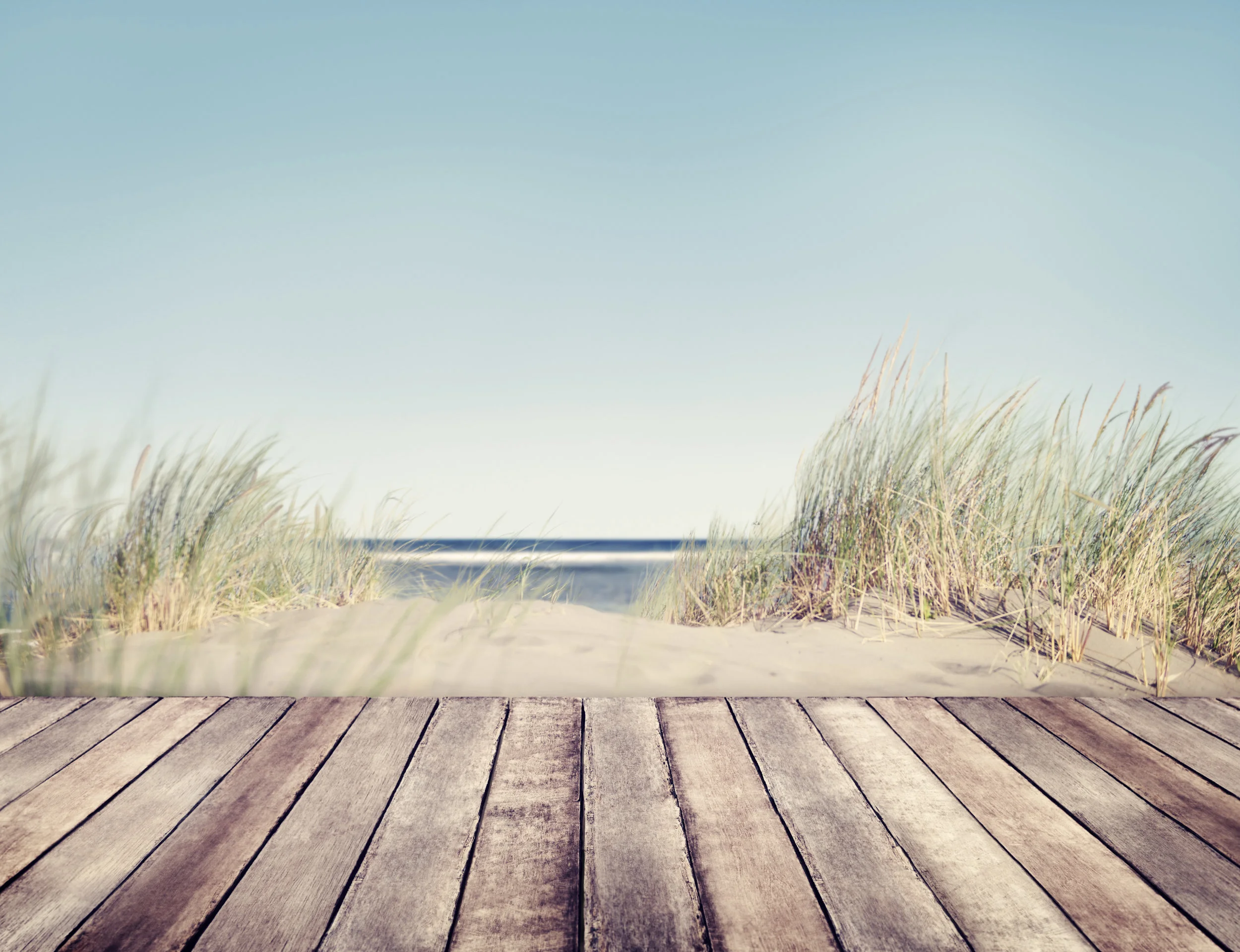 AdobeStock_72990924.jpeg