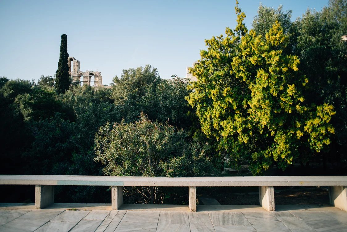 MearaKallistaMorse-Athens-4.jpg