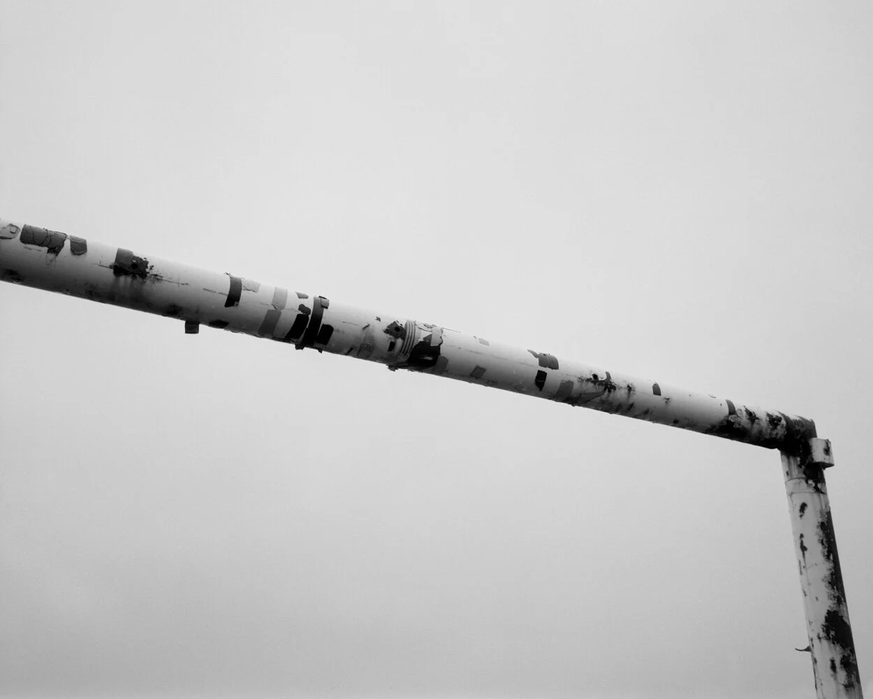 Goal Post - Felling.jpg