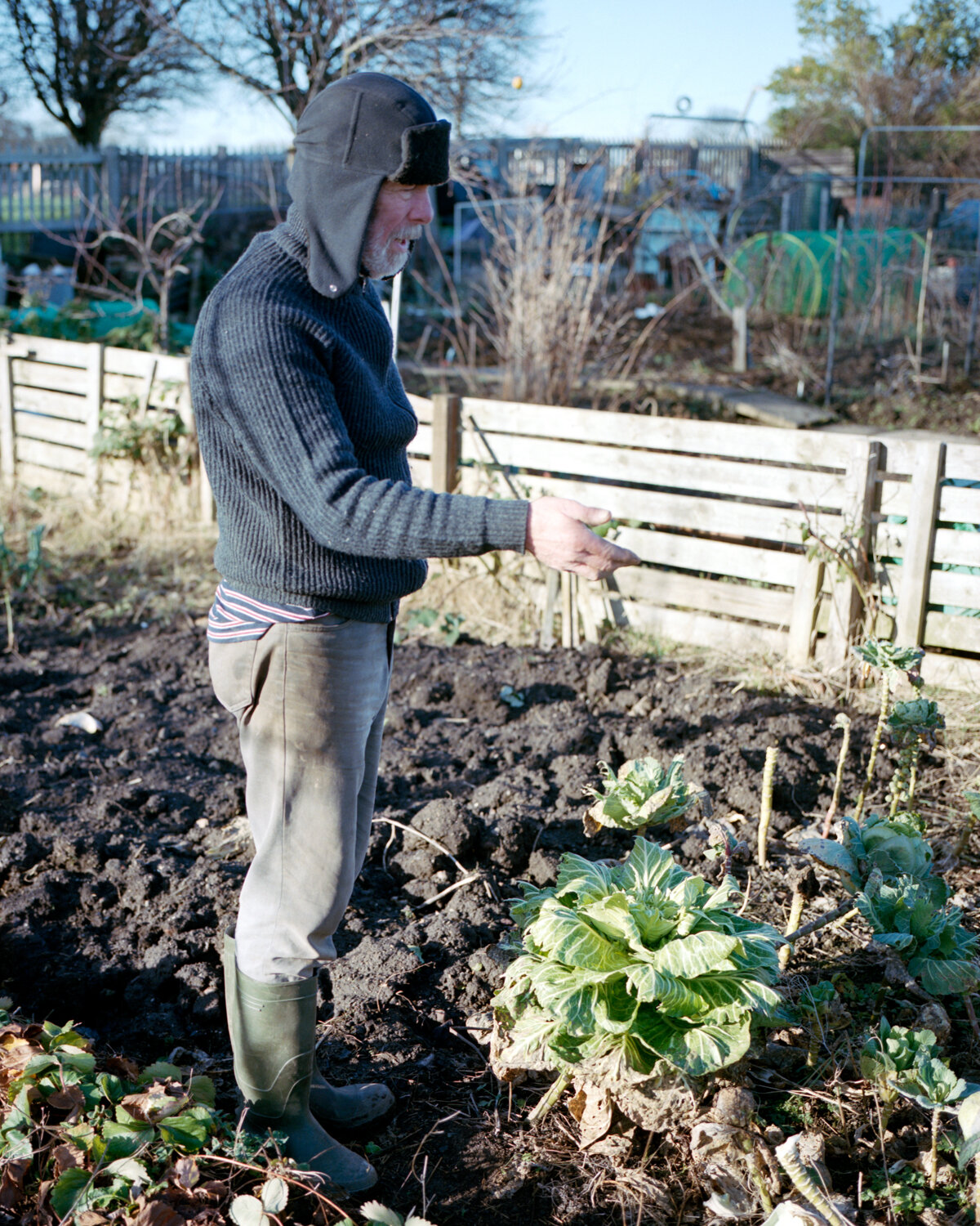 6) Jimmy Showing His Cabbages - Church View.jpg