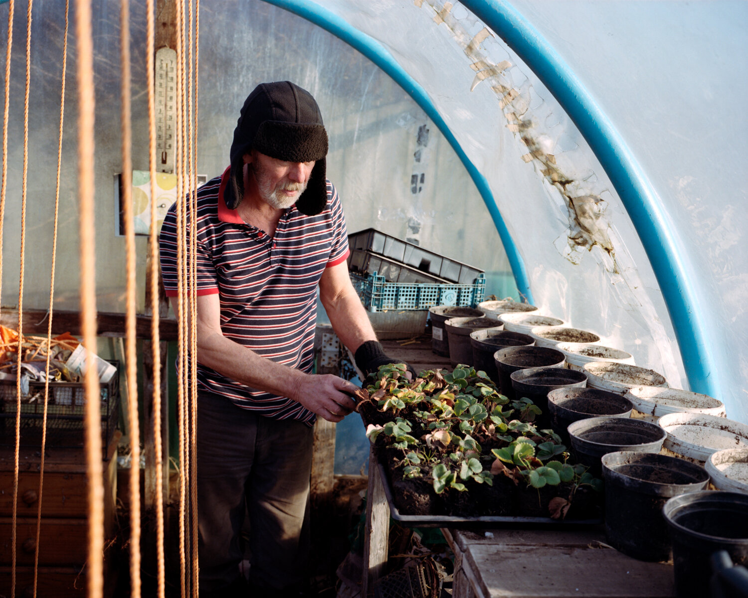 9) Jimmy With Some Strawberries He Is Growing - Church Side.jpg